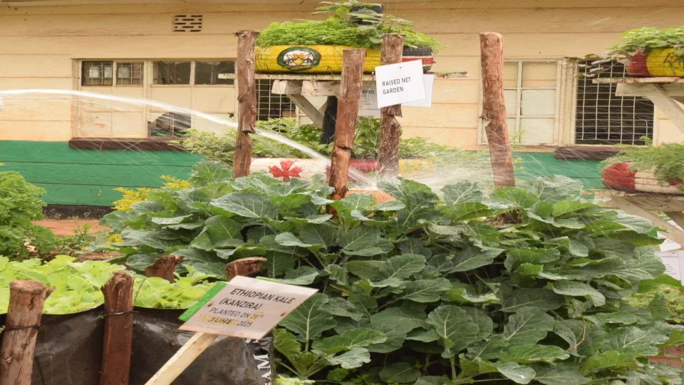  Sustainable Agriculture: Growing Food, Growing Future